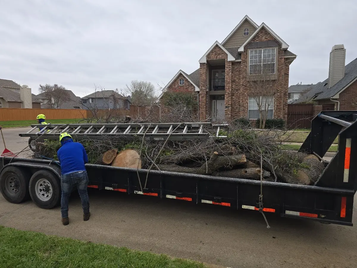 Expert Tree Pest Control with proper safety equipment in Sun Valley